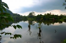 Laghetto, Malesia: siamo a pochi passi dalla famosa grotta di Gua Tempurung e nei pressi di questo lago è possibile incontrare anche grossi rettili come il varano.