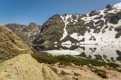 La neve imbianca la Valle della Restonica anche al fiorire della primavera: dettaglio del Lago di Melo - Il Lago glaciale di Melo, situato a circa dieci chilometri da Corte, si trova nel cuore ...