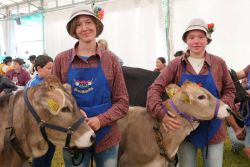 Latte in Festa  uno degli eventi estivi del Trentino con degustazione di prodotti delle malghe