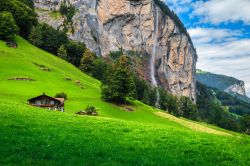 Lauterbrunnen è famosa per le sue tantissime cascate: qui la Staubbach alta ben 300 metri