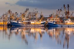 Lauwersoog ospita la più grande flotta di pescherecci in Olanda; siamo sul Waddensea