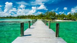 Le acque smeralde dell'isola di Andros, Arcipelago delle Bahamas.




