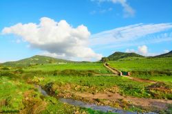 Le campagne della valle del Cedrino all'inizio della primavera, siamo in Sardegna