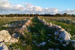 Le campagne intorno a Porto Badisco nel Salento, provincia di Lecce, Puglia.