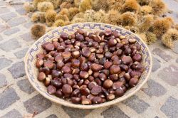 Le castagne, un prodotto tipico di Desulo, borgo della Barbagia in Sardegna