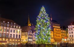 Le Grand sapin (il Grande abete) l'albero di Natale che adorna Place Kleber a Strasburgo