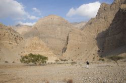 Le montagne e il deserto alle spalle di Ras Al Khaimah - © SeraphP / Shutterstock.com