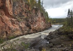 Le rapide Kiutakongas all'Oulanka National Park, Kuusamo, Finlandia. Il fiume che scorre nella gola di questo parco si presenta con un'acqua scura per via del tannino qui disciolto.
 ...