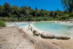 Le terme libere dei bagni di Petriolo in Toscana