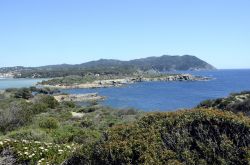 L'isola di Embiez fotografata dall'alto, Francia. Questo gioiello immerso nel blu del mare ha insenature segrete, scogliere, acque cristalline, macchia Mediterranea e persino vigneti.



 ...