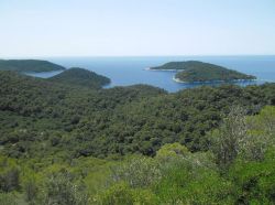 L'isola selvaggia di Mrcara in Dalmazia - © August Dominus - CC BY-SA 3.0, Poveznica