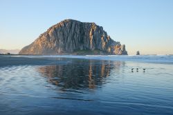 Lo scoglio El Moro a Morro Bay, California, con la spiaggia. A scoprirlo fu il navigatore portoghese Juan Rodriguez Cabrillo in esplorazione lungo la costa del Pacifico - © saraporn / Shutterstock.com ...