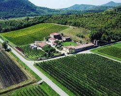 Loreggian vini, l'azienda vinicola sui Colli Euganei, Arqua Petrarca