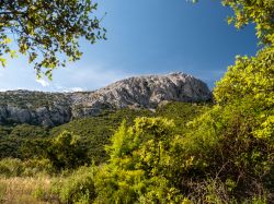 Lula si trova vicino al grande Monte Albo, un riferimento della costa orientale della Sardegna