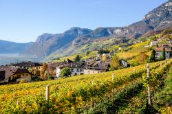 Lungo la Strada del Vino dell'Alto Adige a Cortaccia