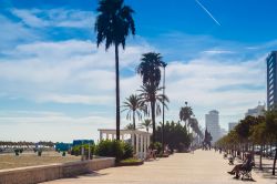 Lungomare alberato sulla spiaggia mediterranea di Fuengirola, Andalusia, Spagna - © k009034 / Shutterstock.com