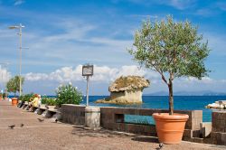 Il lungomare di  Lacco Ameno e la celebre roccia a forma di fungo dell'isola di Ischia - © Mariya Siyanko / Shutterstock.com 