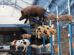 Maiali e cinghiali appesi al soffitto all'ingresso di un mercato al coperto a Abergavenny, Galles, UK - © david muscroft / Shutterstock.com