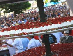 Maletto, Sicilia: la Sagra dele Fragole. Ecco la grande torta distribuita gratuitamente - © www.sagradellafragolamaletto.it