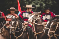 Mandriani (huasos) cileni a Pichilemu durante la manifestazione chiamata "Trilla a yegua suelta" - © Pablo Rogat / Shutterstock.com