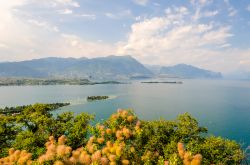 Manerba (Brescia): è famosa per le splendide vedute del lago di Garda che si godono dalle colline del suo territorio - © Marco Rubino / Shutterstock.com