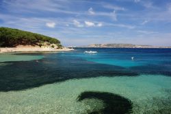 Un mare trasparentissimo al largo di Palau, in Gallura, nel nord della Sardegna. Qui, come nel vicino arcipelago della Maddalena, l'acqua limpida lascia scorgere il fondale e i suoi pesci, ...