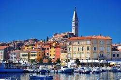 Marina e case di Rovigno (Rovinj) la storica città dell'Istria in Croazia - © monticello / Shutterstock.com