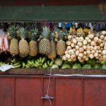 Frutta e verdura in un mercato all'aperto di San José, Costa Rica. Alcuni prodotti dell'agricoltura locale venduti in uno dei tanti mercati all'aperto che si possono incontrare ...