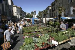 Mercato tradizionale nel centro di Pezenas, Francia, in una giornata di sole in tarda primavera - © david muscroft / Shutterstock.com