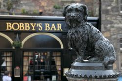 Monumento dedicato a Greyfriars Bobby, un cane di razza Skye Terrier che visse ad Edimburgo nel 19° secolo. E' un cane dalla storia triste ma toccante: il suo padrone John Gray morì ...