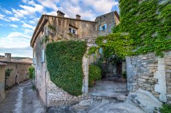 Muro di casa con foglie verdi rampicanti nel villaggio di Bonnieux, Provenza, Francia.

