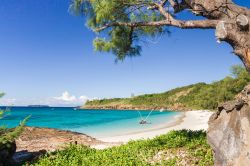 Natura lussureggiante sull'isola di Tsarabanjina, nord del Madagascar - © Pierre-Yves Babelon / Shutterstock.com