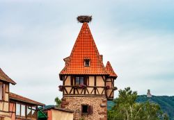 Nido di cicogna sul tetto di un'antica costruzione nel villaggio di Chatenois, Francia - © bonzodog / Shutterstock.com