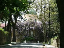 La chiesa di Nostra Signora di Lourdes a Tricarico - © Rocco Stasi - CC BY 3.0 - Wikipedia.