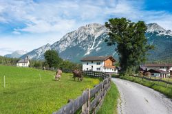 Obsteig, un grazioso villaggio nel distretto di Imst, Austria. Sorge a 991 metri di altitudine ed è abitato da poco più di 1300 abitanti.

