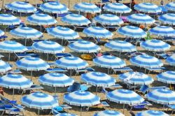 Ombrelloni aperti durante agosto in un bagno ...