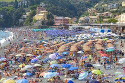 Ombrelloni sulla spiaggia di Bonassola, Liguria, Italia. Un tratto del litorale di Bonassola, in estate affollata località della costa ligure in provincia di La Spezia - © Paolo ...