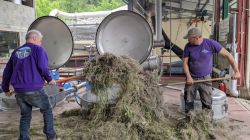 Operai al lavoro con la Lavands alle Distillerie 4 vallees in Provenza