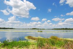 Wetlands Park di Orlando, Florida - Panorama su Wetlands Park in una bella giornata soleggiata © Jose Antonio Perez / Shutterstock.com