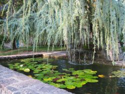 Paesaggio agreste con fontana e gigli nella città di Limoges, Francia.

