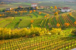 Paesaggio autunalle nella regione vinicola del Collio non lontano da Cormons