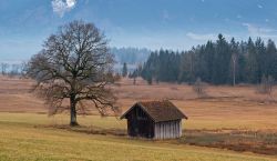 Paesaggio autunnale intorno a Murnau am Staffelsee in Germania