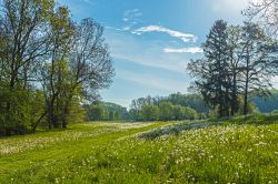 Paesaggio bucolico nelle campagne della Turingia in Germania