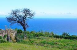 Paesaggio costiero nei pressi di Borgio Verezzi in Liguria - © maudanros / Shutterstock.com