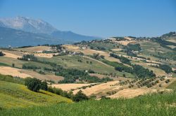 Paesaggio estivo lungo la strada da Teramo a Penne, Abruzzo. Siamo nella Val Tordino, in una zona collinare sotto le pendici del Gran Sasso.



