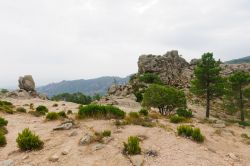 Paesaggio interno della Corsica nella zona di Lecci, nel sud-est dell'isola