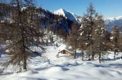 Paesaggio invernale nei dintorni di Albosaggia: è proprio in queste vallate e questi boschi che è nato lo sci alpinismo