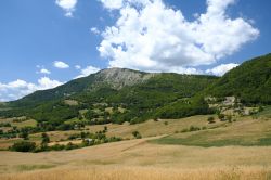 Paesaggio montano a nord di Carpegna, in direzione di Montecopiolo, Marche