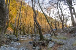 Paesaggio naturale nel villaggio di Steni a Eubea, Grecia - Meta turistica invernale più conosciuta dell'isola, Steni si trova nel centro della prefettura a 450 metri di altezza fra ...