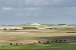 Paesaggio nei pressi di Epernay e Monthelon fotografato in una giornata di sole e qualche nuvola, Francia.

